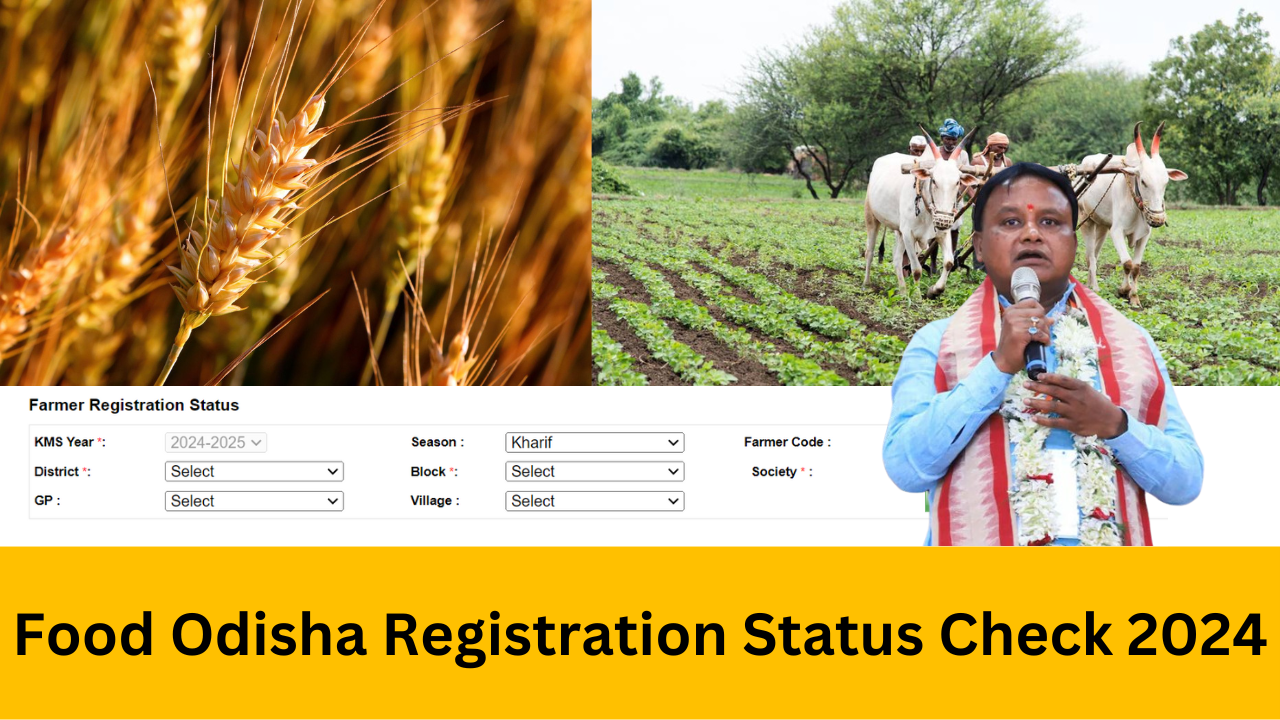 Food Odisha Registration Status